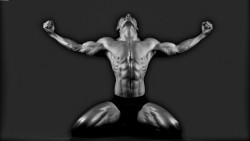 coenzima q 10 e carnitina, più energia e meno fatica durante il workout