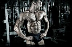 Aminoacidi ramificati vegetali: quali sono