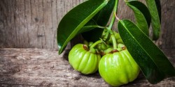 dimagrisci senza stress con la garcinia cambogia
