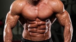 glutammina effetti su massa e prestazione